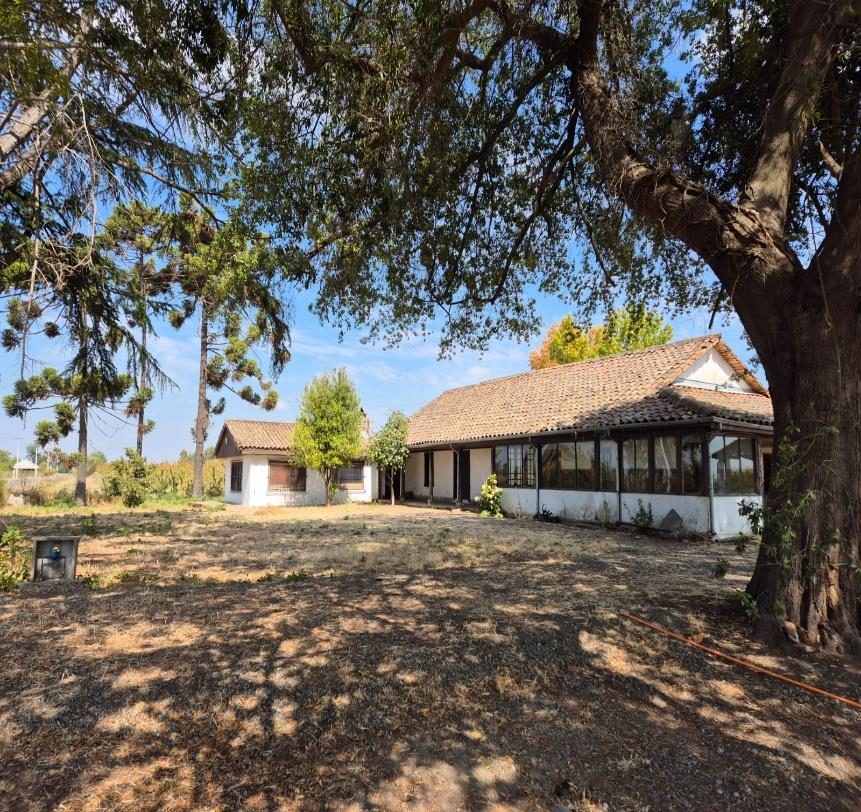 Campo en venta en Villa Alegre — foto 7
