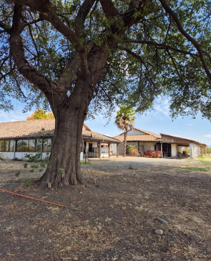 Campo en venta en Villa Alegre — foto 8