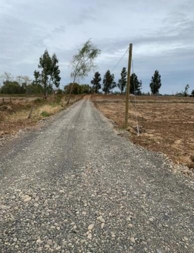 Campo en venta en Bulnes — foto 4