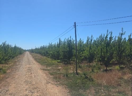 Campo en venta en Bulnes — foto 6