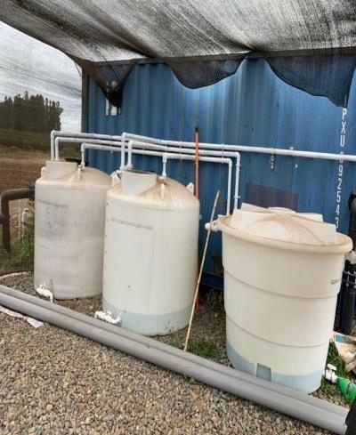 Campo en venta en Bulnes — foto 8