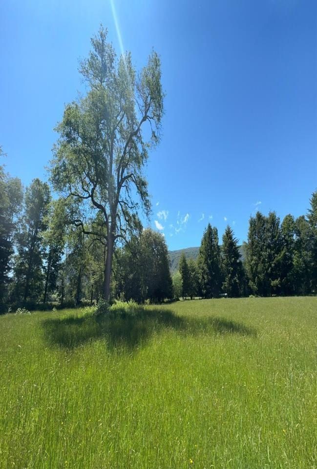 Campo en venta en Pucón — foto 1