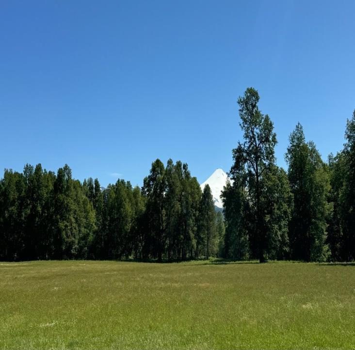 Campo en venta en Pucón — foto 2