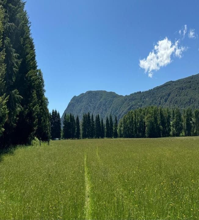 Campo en venta en Pucón — foto 3