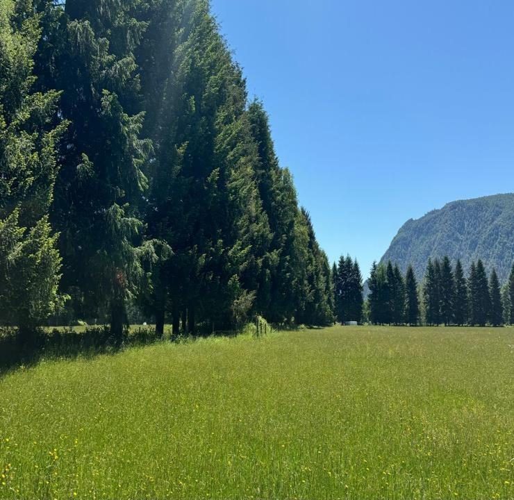 Campo en venta en Pucón — foto 4