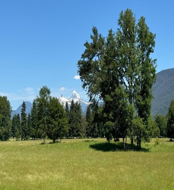 Campo en venta en Pucón — foto 5