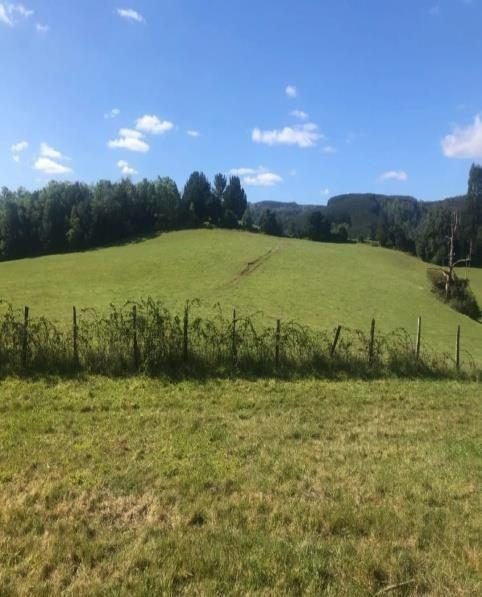 Campo en venta en La Unión — foto 2