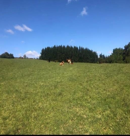 Campo en venta en La Unión — foto 3