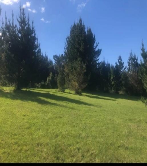 Campo en venta en La Unión — foto 4