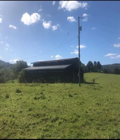 Campo en venta en La Unión — foto 5