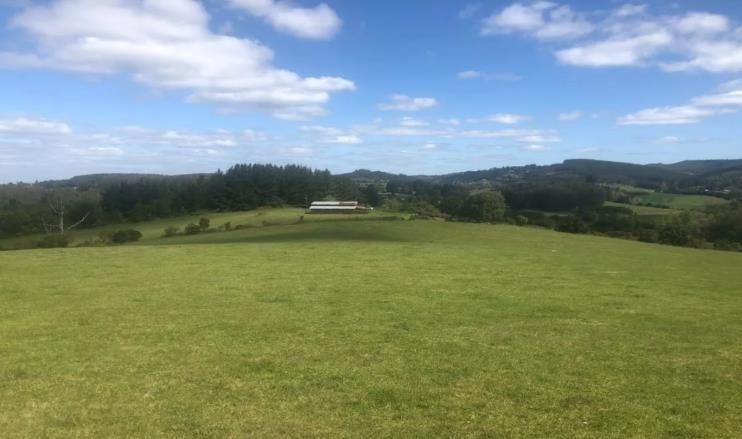 Campo en venta en La Unión — foto 8