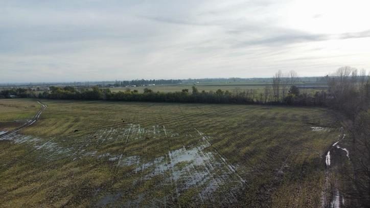 Campo en venta en Coihueco — foto 1