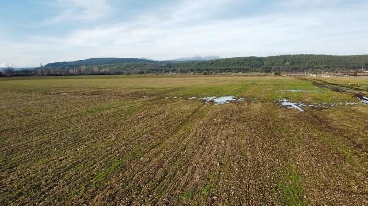 Campo en venta en Coihueco — foto 2