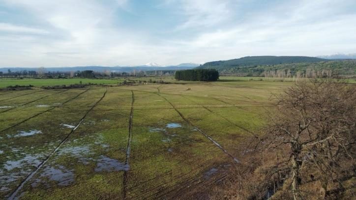 Campo en venta en Coihueco — foto 3