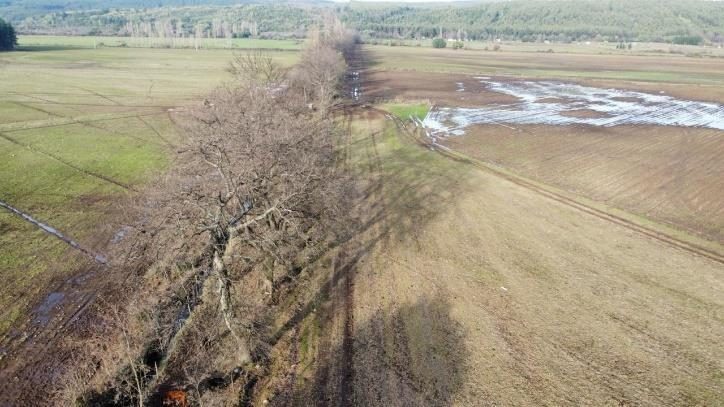 Campo en venta en Coihueco — foto 6