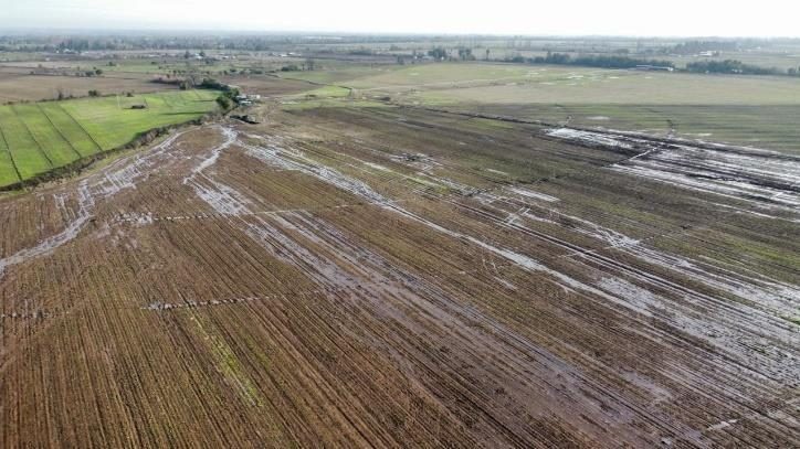 Campo en venta en Coihueco — foto 8