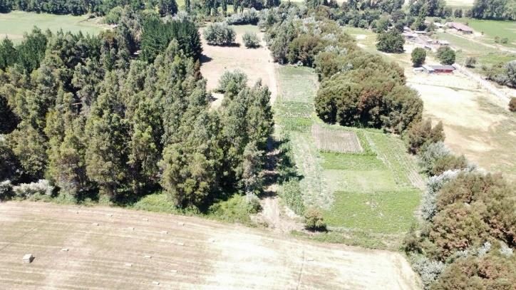 Parcela en venta en Los Ángeles — foto 2