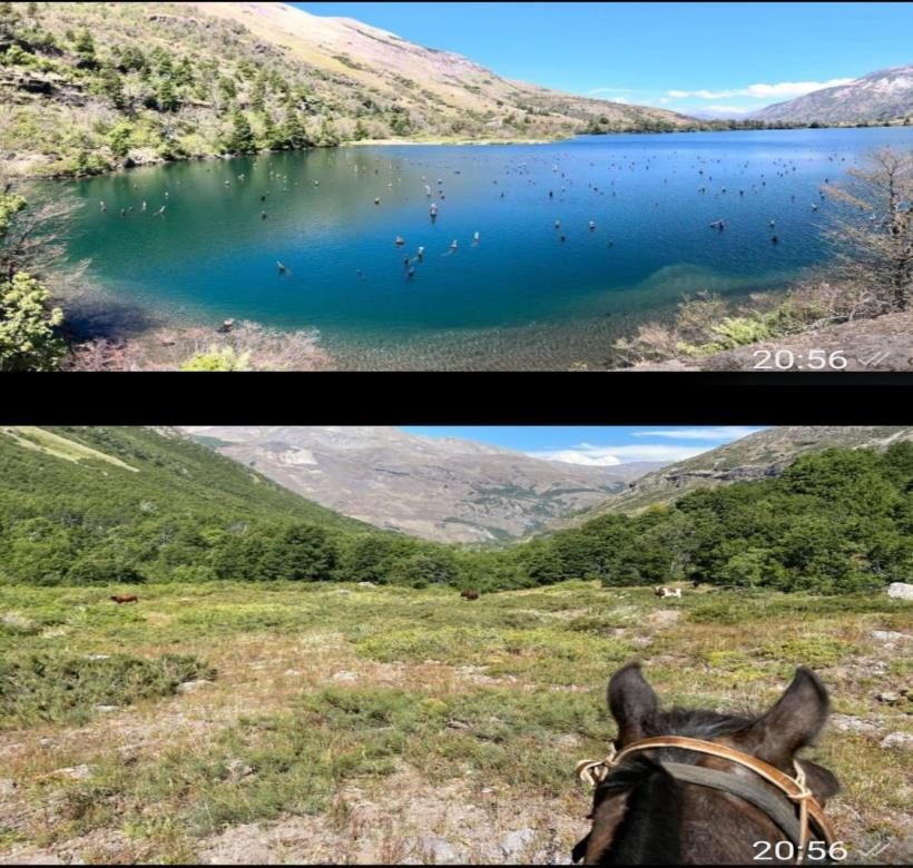 Campo en venta en San Fabián — foto 2