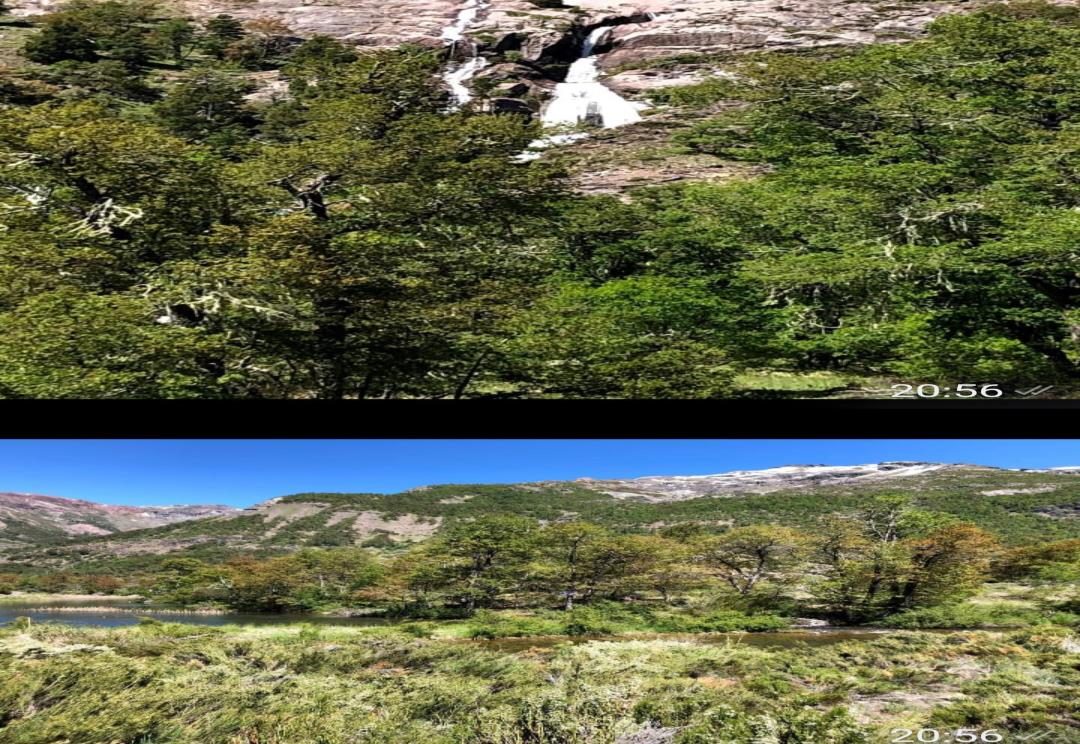 Campo en venta en San Fabián — foto 3