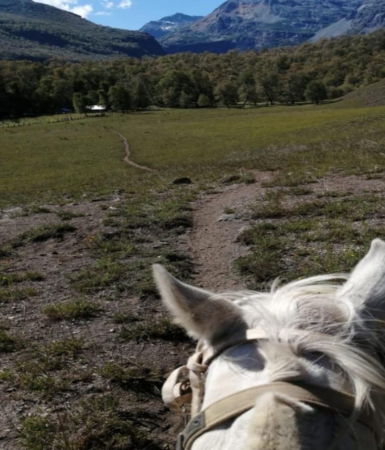 Campo en venta en San Fabián — foto 4