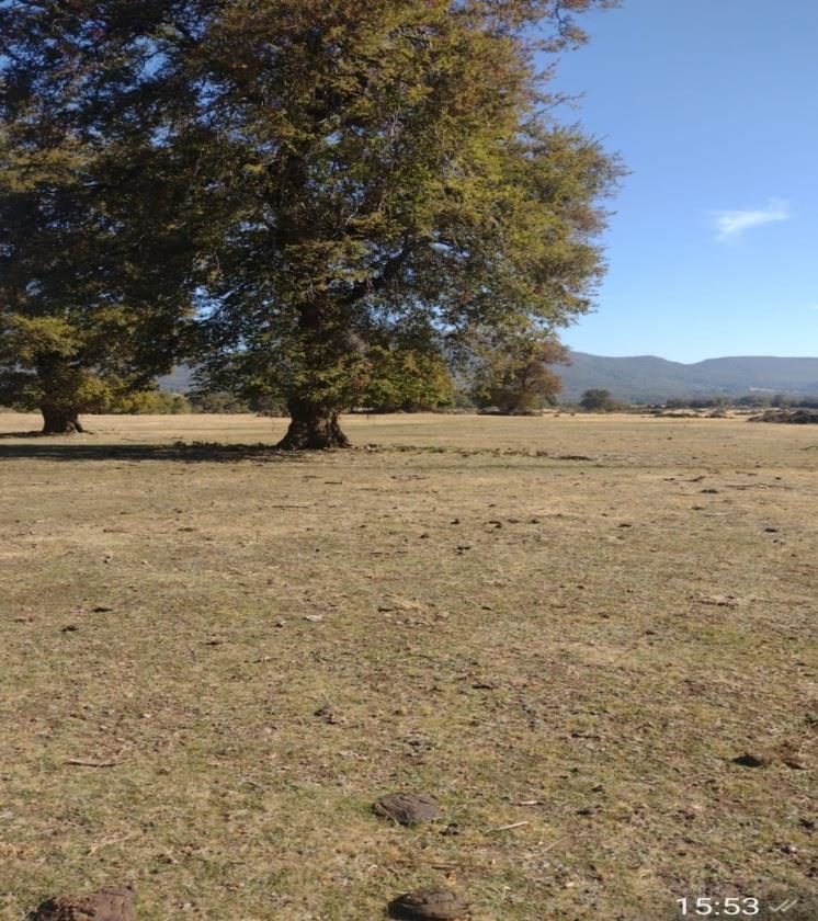 Campo en venta en San Fabián — foto 1
