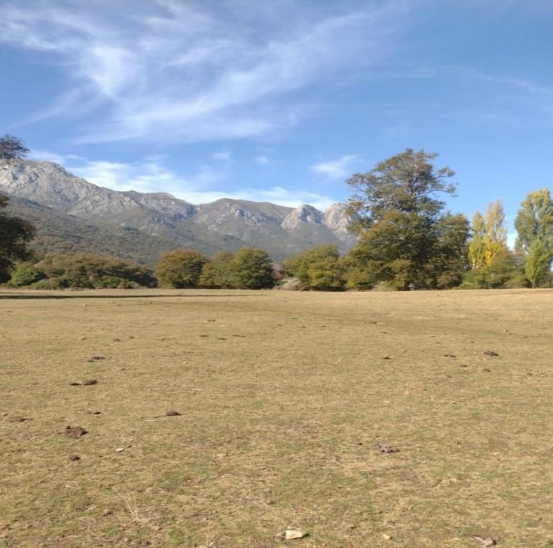 Campo en venta en San Fabián — foto 4