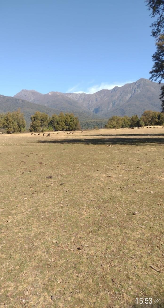 Campo en venta en San Fabián — foto 5
