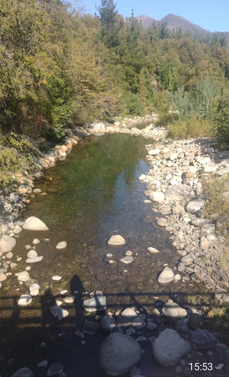 Campo en venta en San Fabián — foto 6