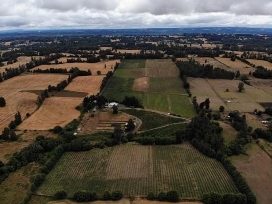 Campo en venta en Villarrica — foto 10