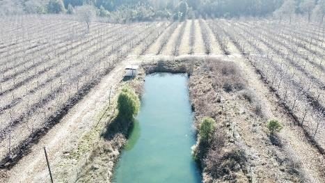 Campo en venta en Pemuco — foto 4