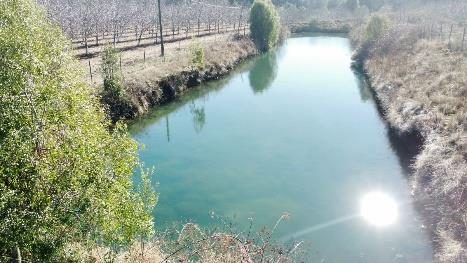 Campo en venta en Pemuco — foto 5