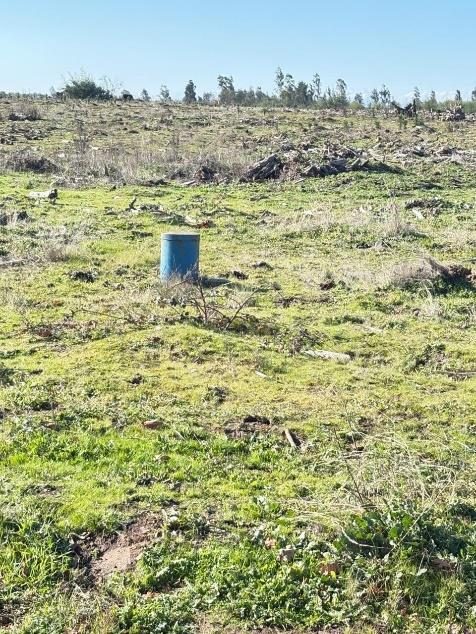 Campo en venta en Ñiquén — foto 2
