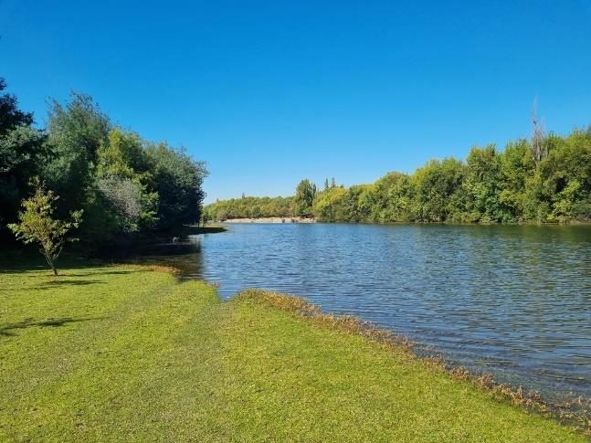 Campo en venta en Ñiquén — foto 4