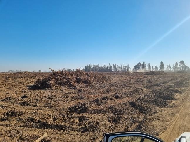 Campo en venta en Ñiquén — foto 6