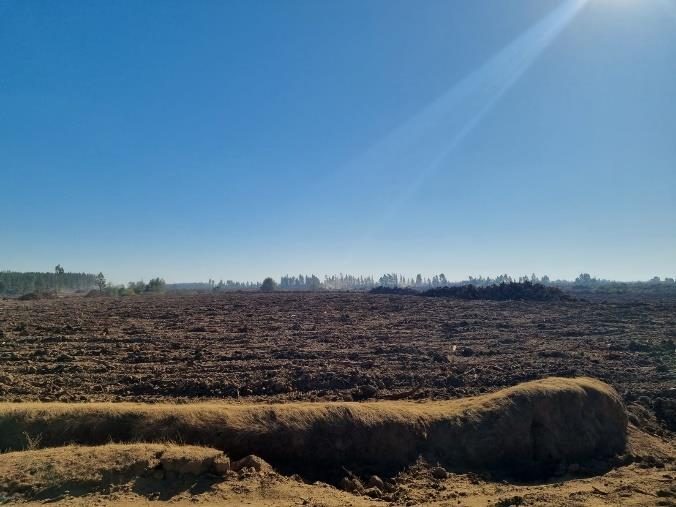 Campo en venta en Ñiquén — foto 7