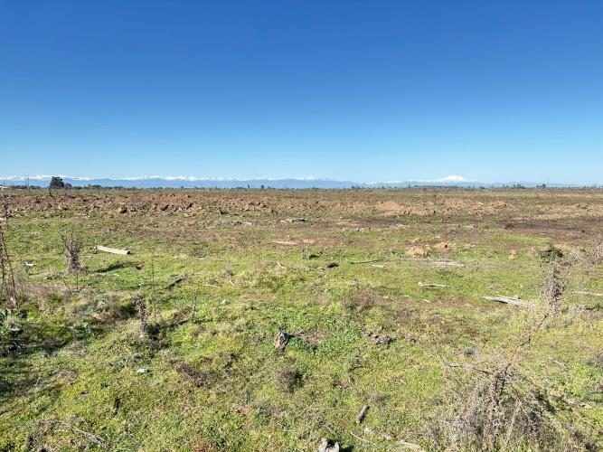 Campo en venta en Ñiquén — foto 8