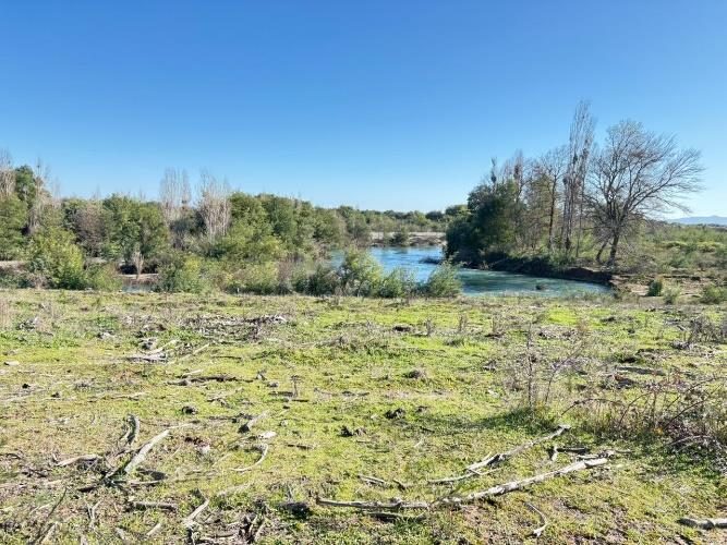 Campo en venta en Ñiquén — foto 10