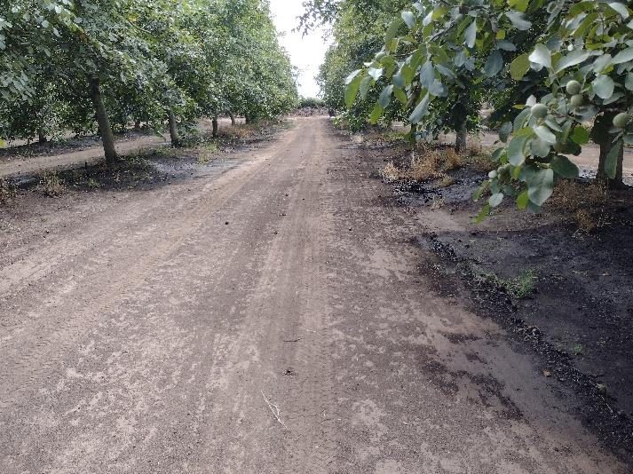 Campo en venta en Renaico — foto 4