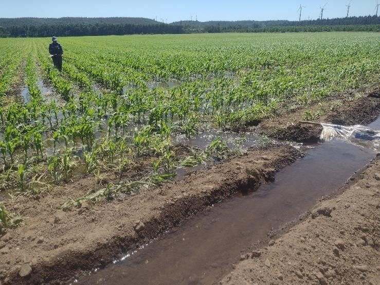 Campo en venta en Renaico — foto 7