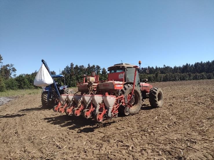 Campo en venta en Renaico — foto 9