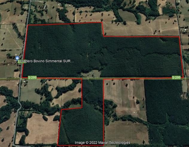 Campo en venta en Vilcún — foto 2
