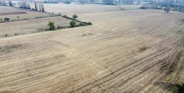 Campo en venta en San Ignacio — foto 2