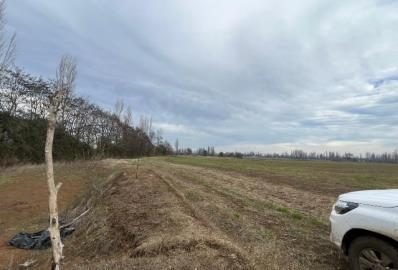 Campo en venta en San Ignacio — foto 3