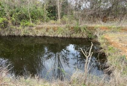 Campo en venta en San Ignacio — foto 4