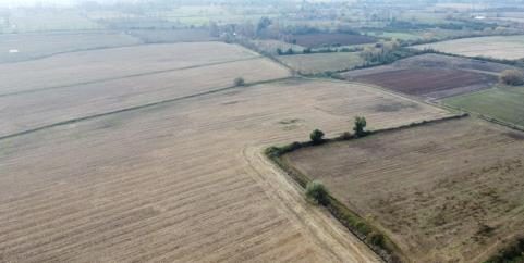 Campo en venta en San Ignacio — foto 8