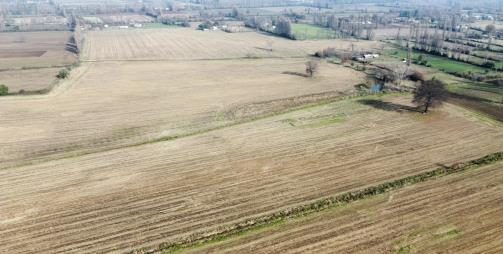 Campo en venta en San Ignacio — foto 9