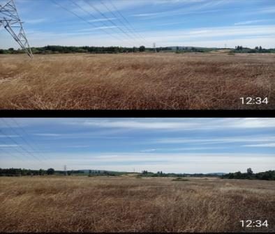 Campo en venta en Mulchén — foto 1