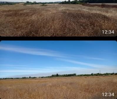 Campo en venta en Mulchén — foto 2
