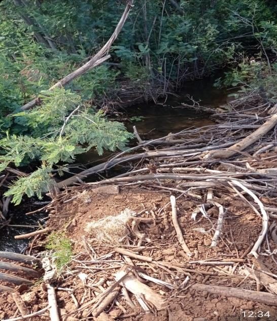 Campo en venta en Mulchén — foto 6