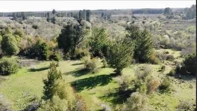Campo en venta en Pemuco — foto 1